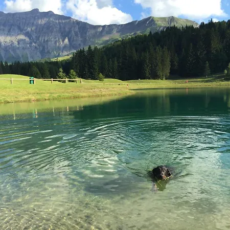 Le Hameau Des Neiges * Praz-sur-Arly